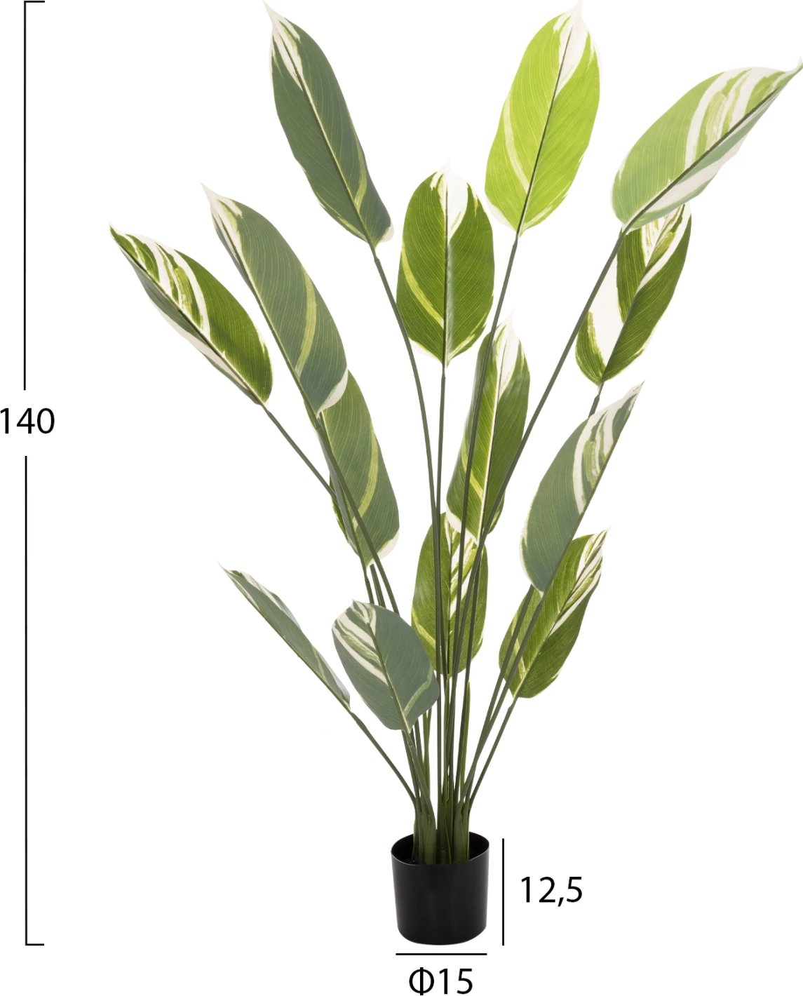 Bimë sintetike dekorative në vazo, FH7997, Calathea, 140Hcm