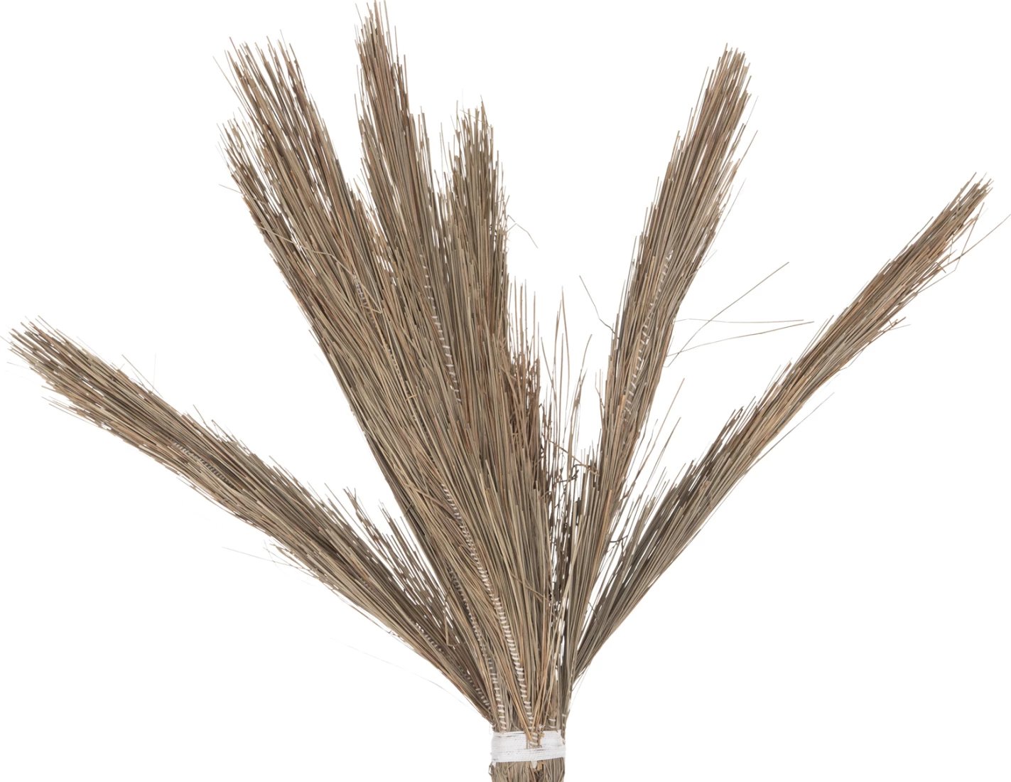 Pemë dekorative TROPIC, stil kokosi, FH4325, prej bari Mendong, 210Hcm