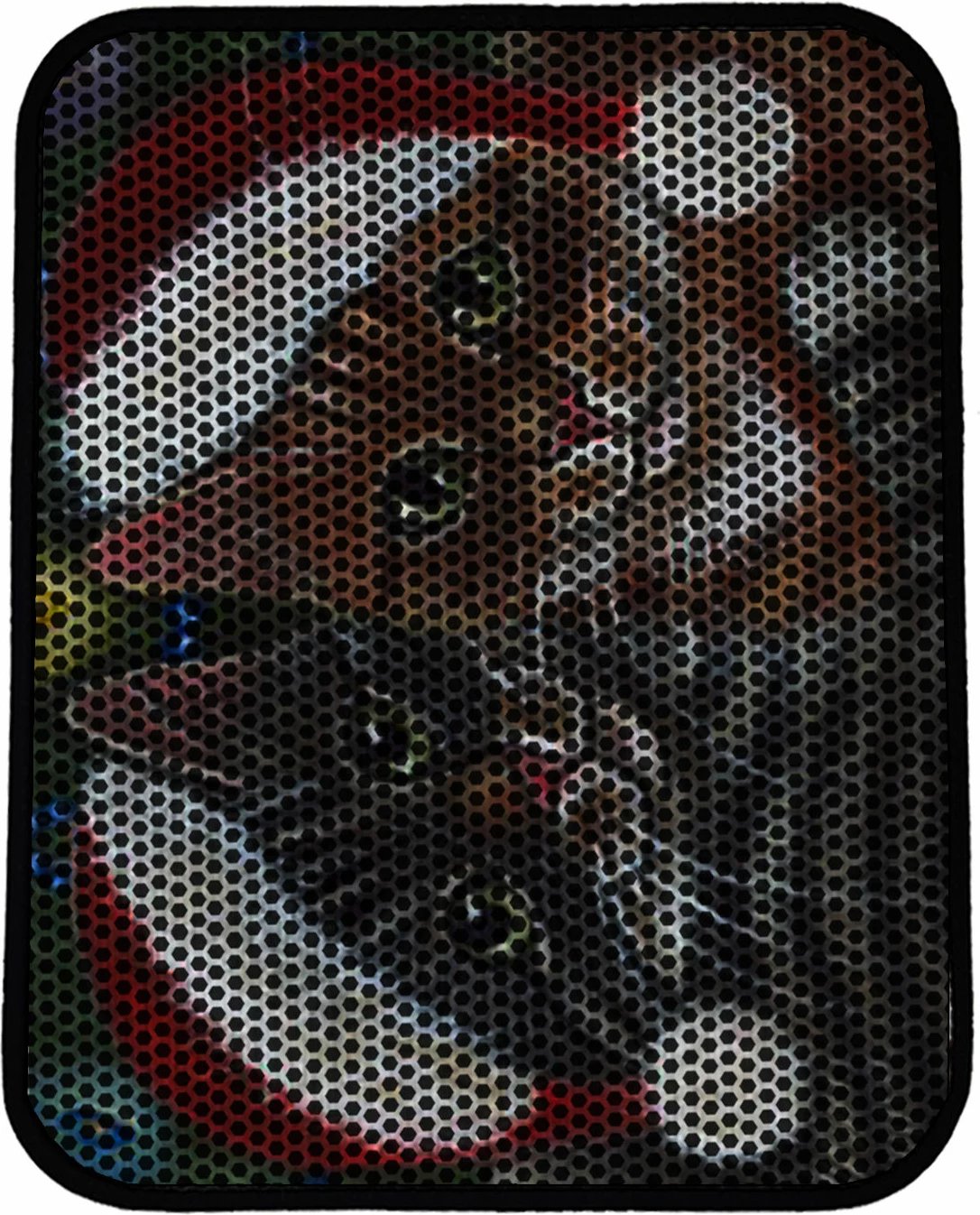 Tapet për rërë mace, shumëngjyrësh, Paws & Whiskers, Nrszn0165, 45x60cm