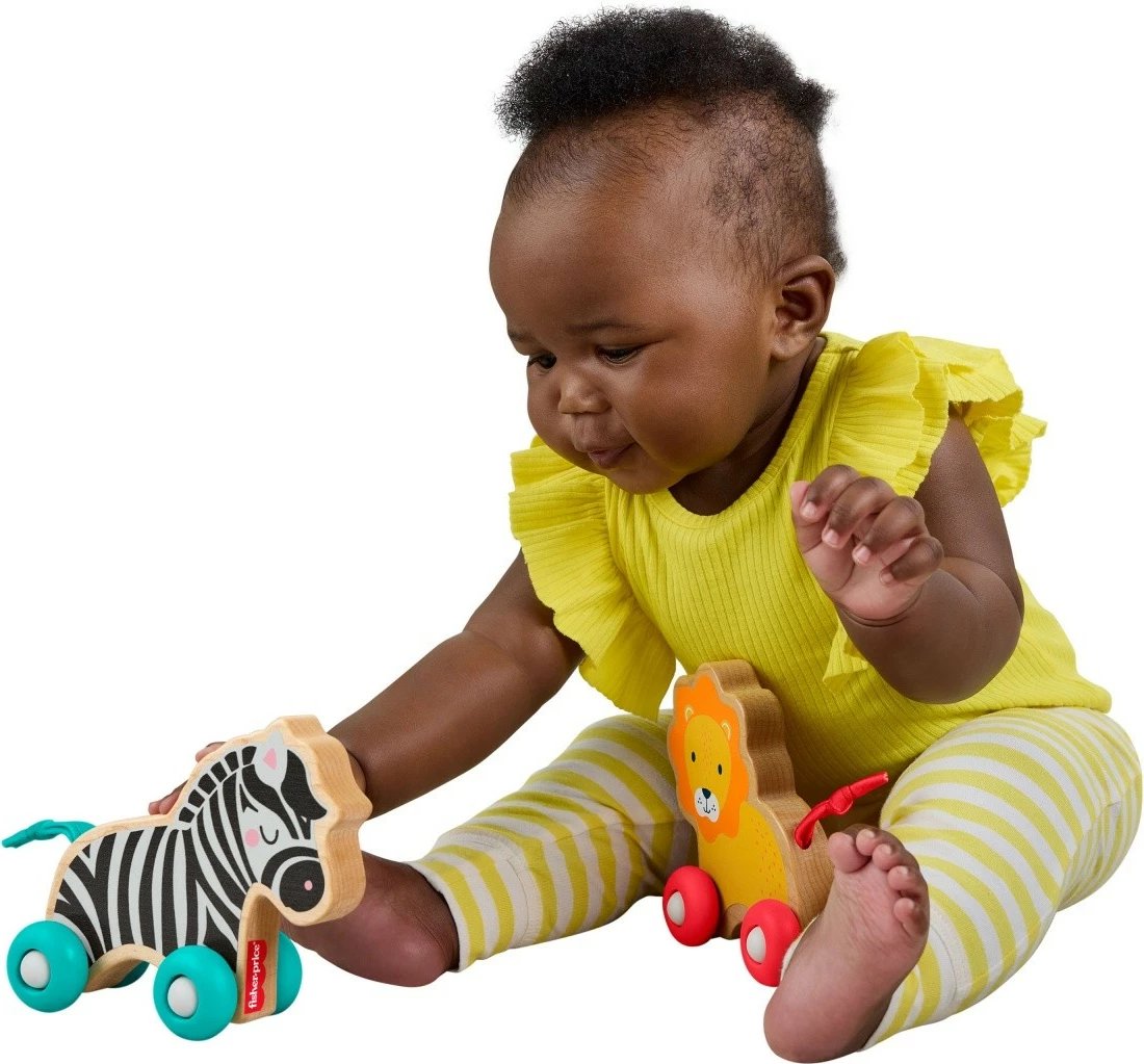 Set lodrash druri Fisher-Price JFN19, kafshë me rrota, multikolor, 2 copë