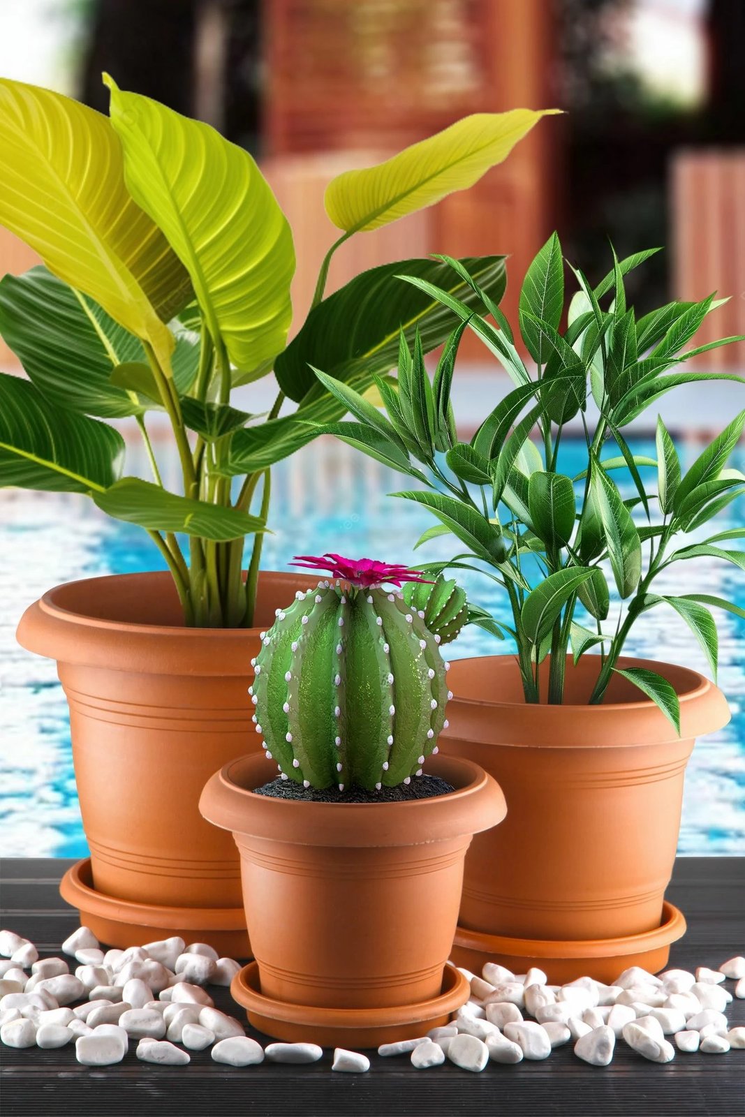 Set vazoje dekorative, ngjyrë kafe, Aberto Design, ANTSKS-3