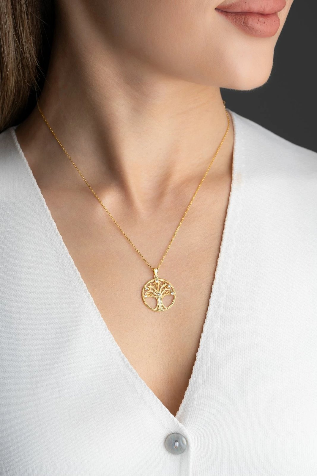 Varëse argjendi e artë Jumeon, HYT5766