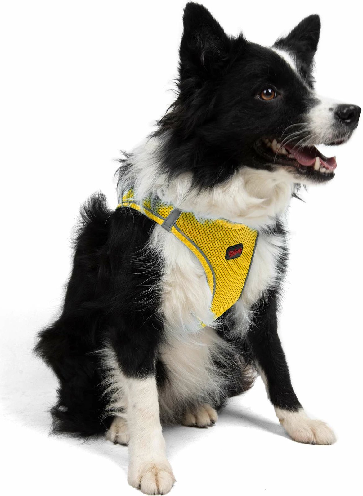 Parzmore për qen, Air-Mesh, e verdhë