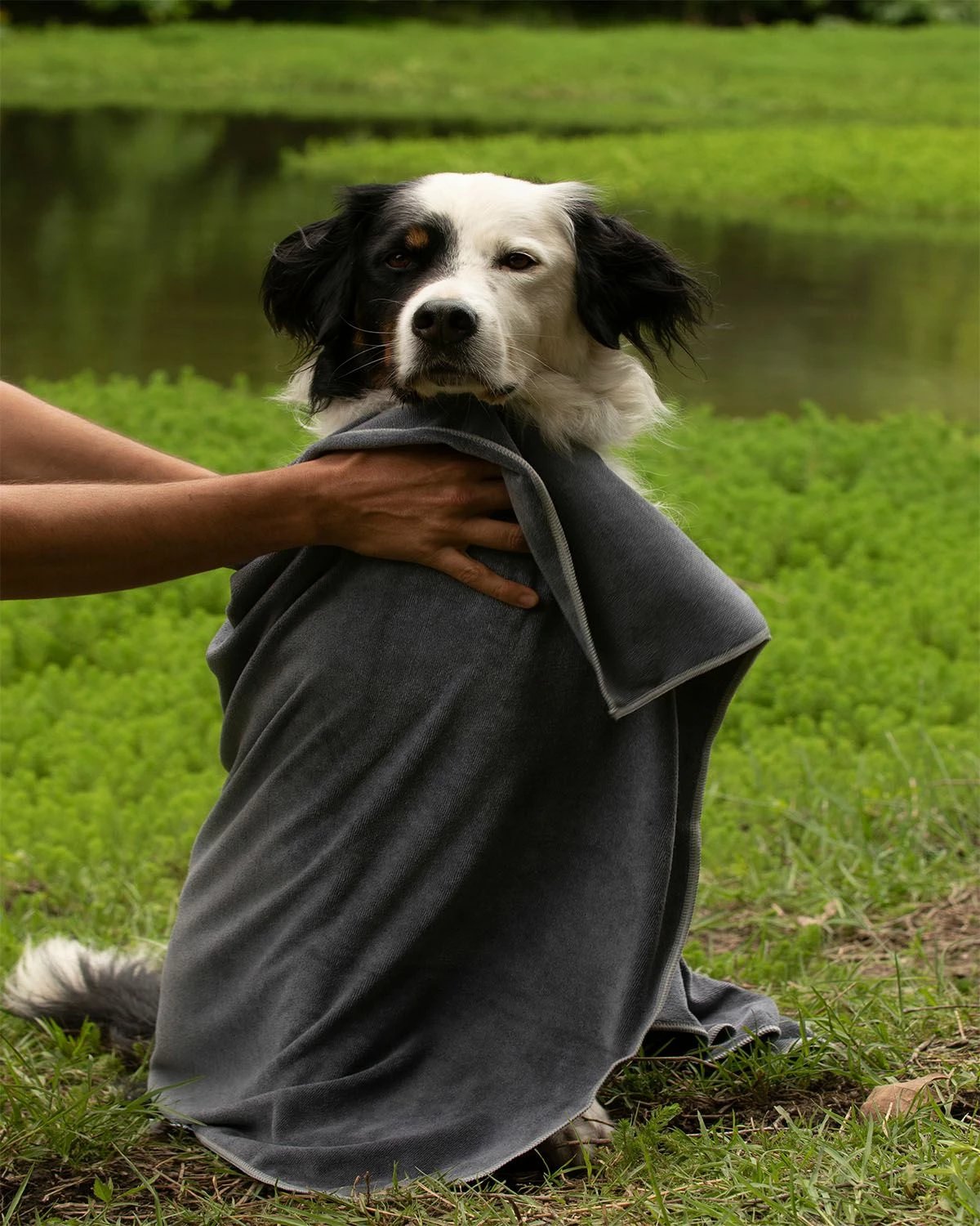 Peshqir për qen, Paws & Whiskers, Mictow 80, ngjyrë gri Peshqir për qen, Paws & Whiskers, Mictow 80, ngjyrë gri