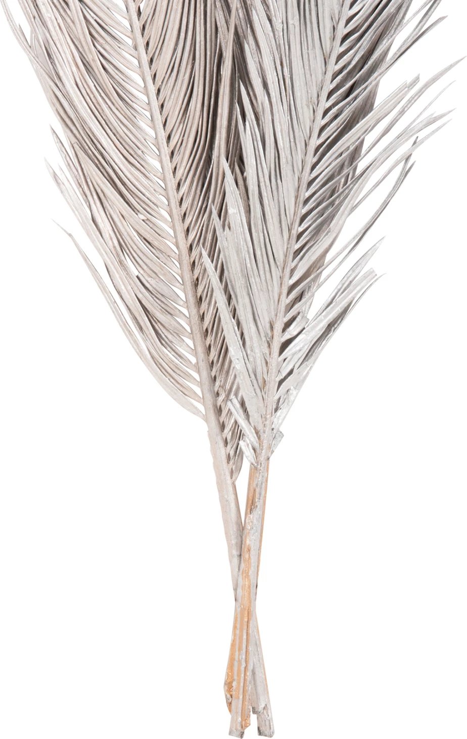 Set dekorativ me 3 gjethe palme të thata, ngjyrë argjendi, FH7957, 110H cm