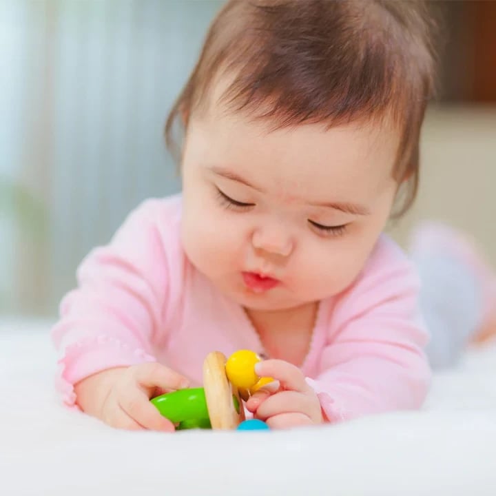 Bell Rattle  4m+
