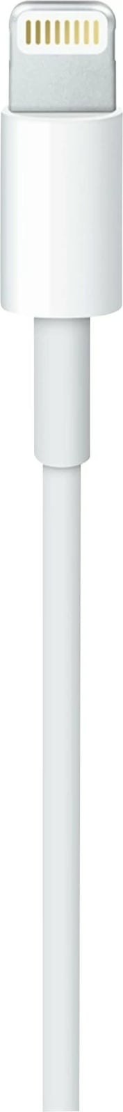 Apple USB-C to Lightning Cable - Lightning / USB - 1 m