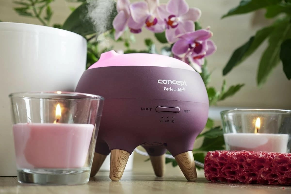 Difuzer aromash Concept Perfect Air DF1011, 250 ml, boronicë