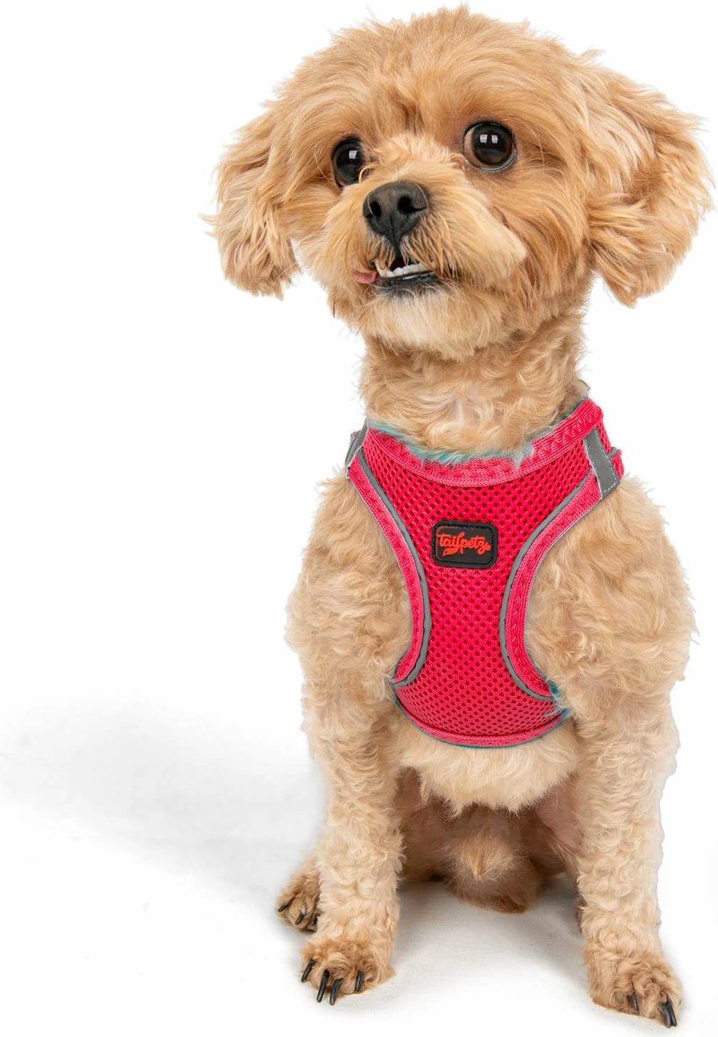 Parzmore për qen, ngjyrë Neo Pink, Air-Mesh, Paws & Whiskers