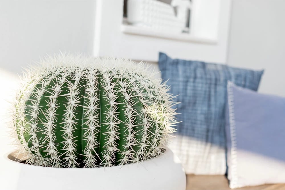 Bimë artificiale ferokaktus në vazo, material tekstili dhe plastike, jeshile-bardhë, 25x25x33 cm