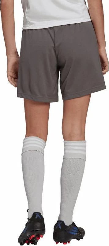 Shorce për meshkuj adidas Entrada 22, gri