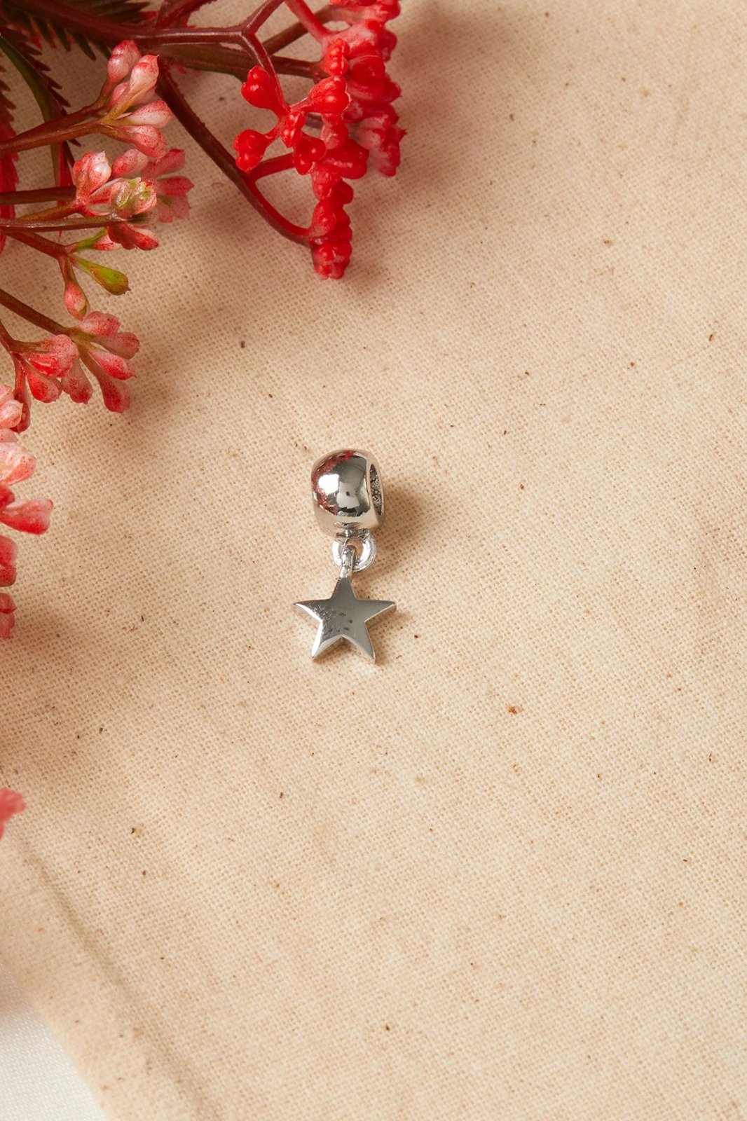 Varëse metalike Elika, CPN9884, ngjyrë argjendi