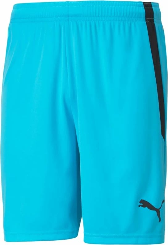 Shorce për meshkuj Puma, blu
