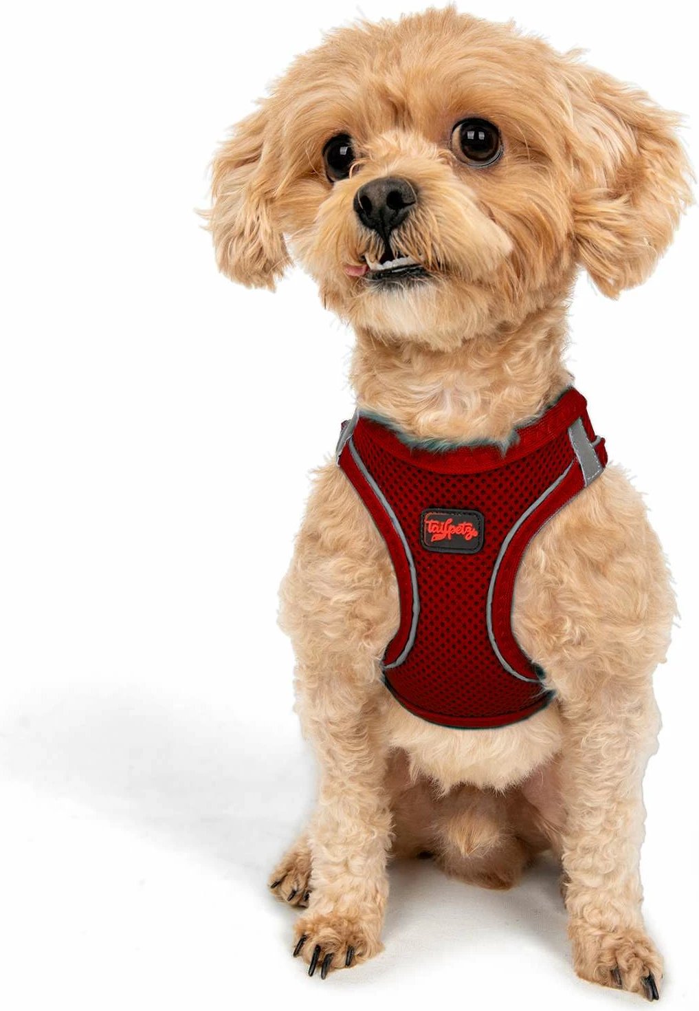 Parzmore për qen, Air-Mesh, e kuqe, Paws & Whiskers, XS