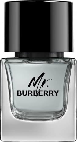 Eau de Toilette për meshkuj Burberry Mr. Burberry, 50ml