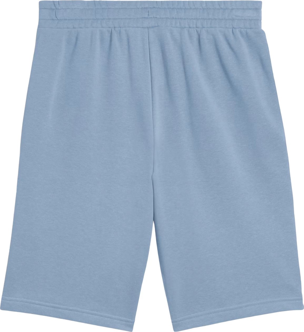 Shorce për meshkuj Puma, blu
