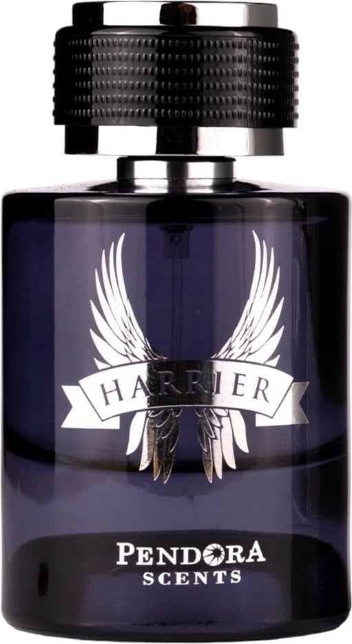 Eau de Parfum për meshkuj Pendora Scents Harrier 100ml