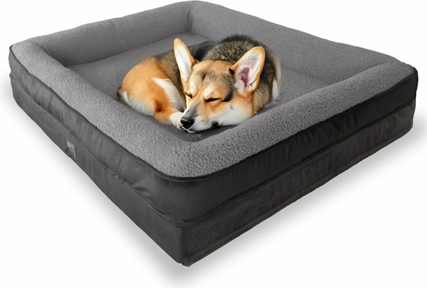 Shtrat për qen, Paws & Whiskers, Felix Dog L, anthracite