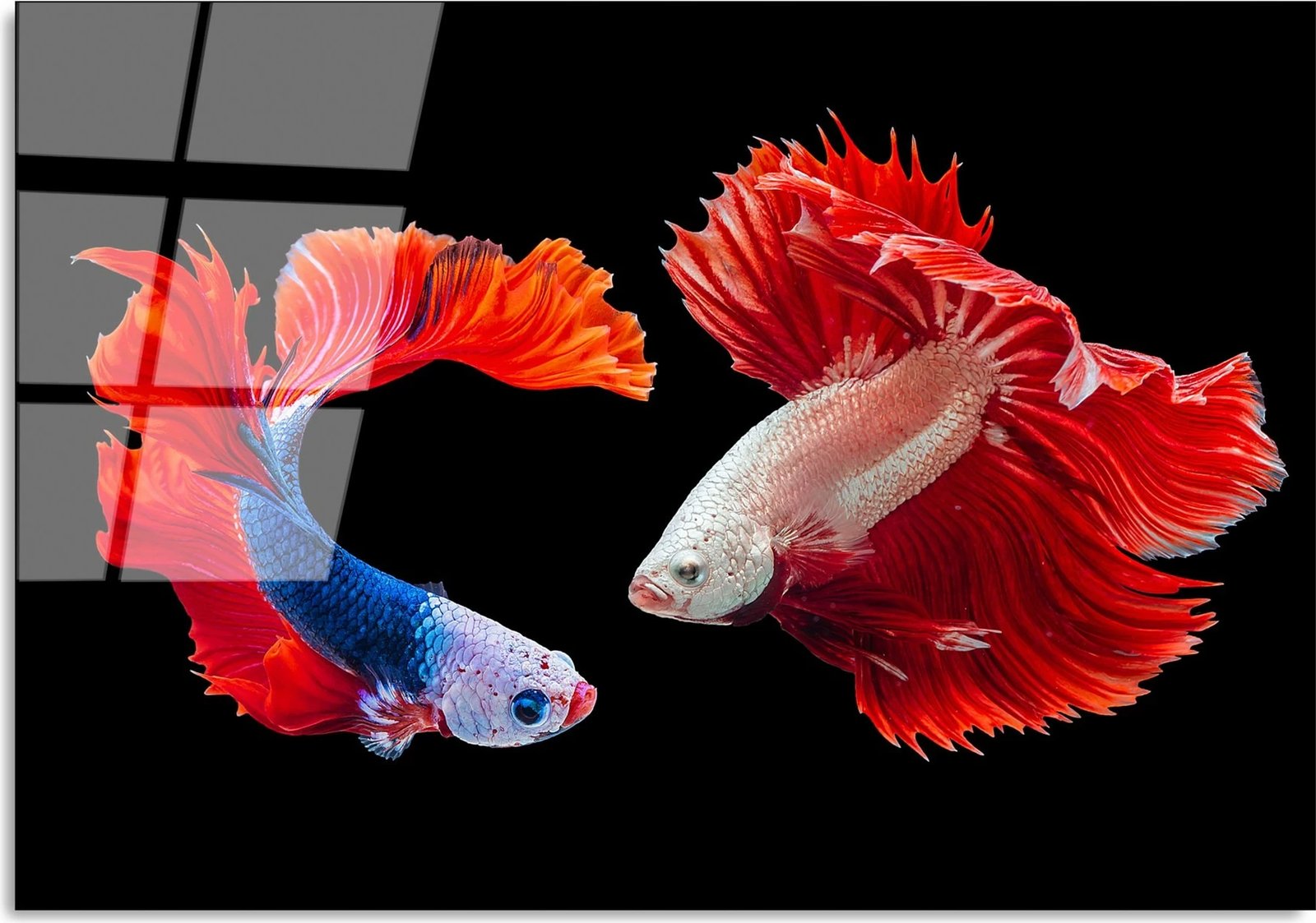 Pikturë dekorative prej xhami të temperuar, shumëngjyrëshe, Wallity UV-167, 70x100cm