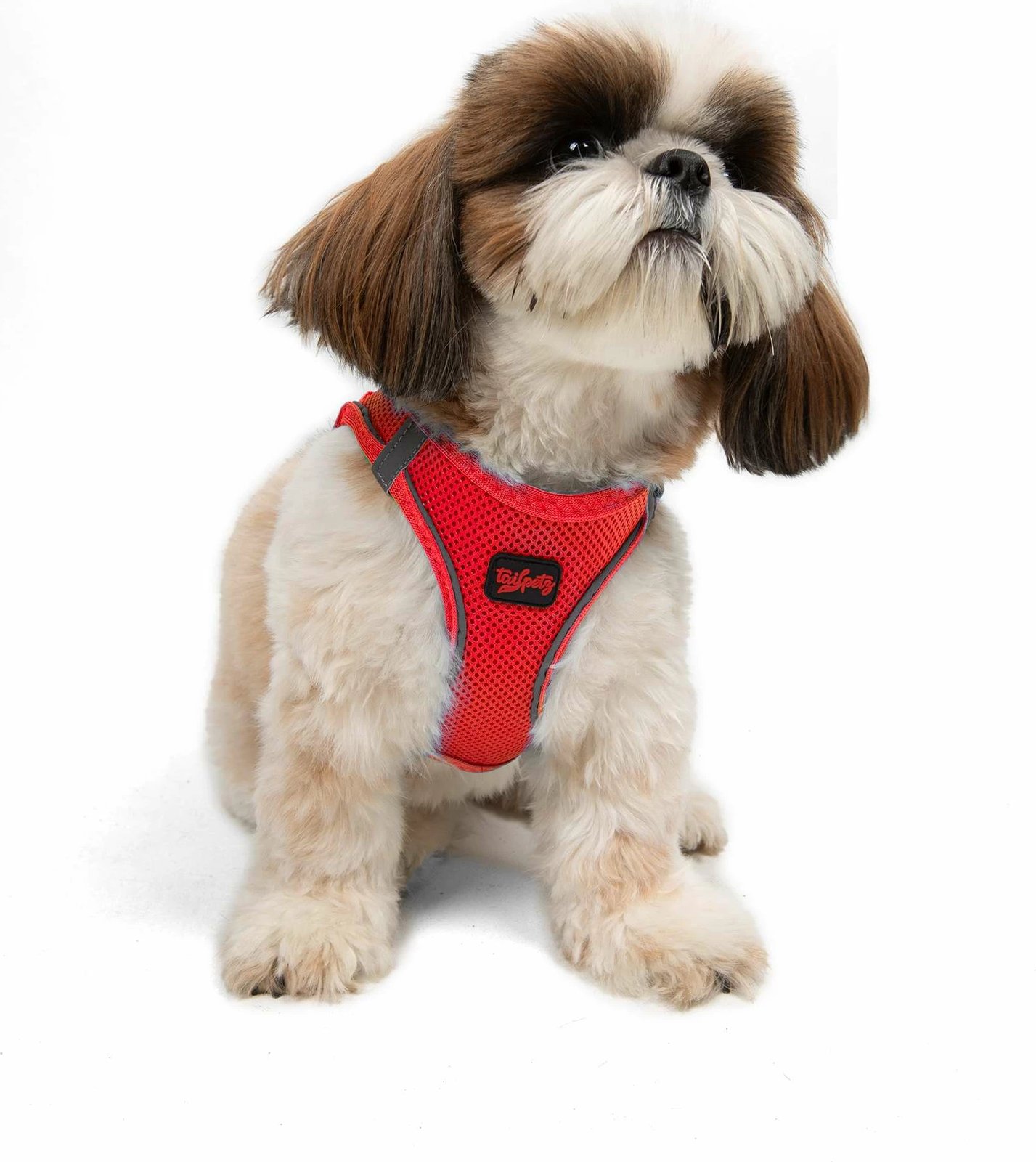 Parzmore për qen, Air-Mesh, ngjyrë garnet