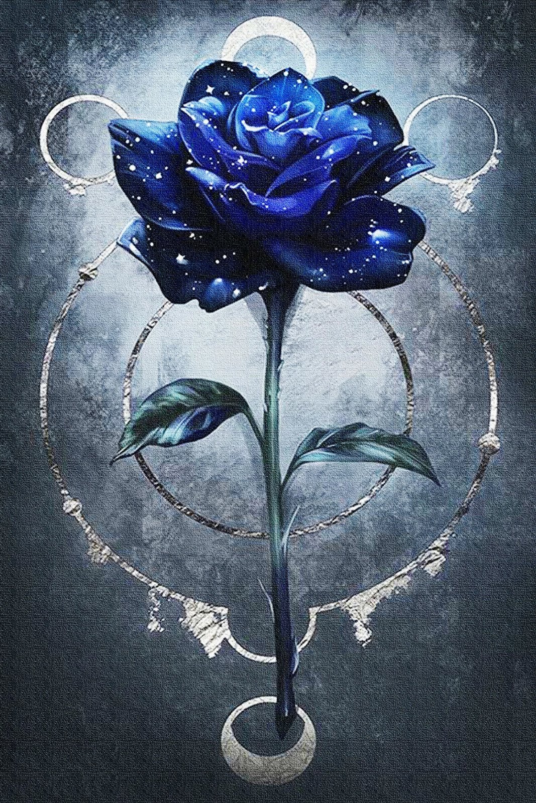 Set tapetash për banjo (2 copë), Mijölnir, CT-5386