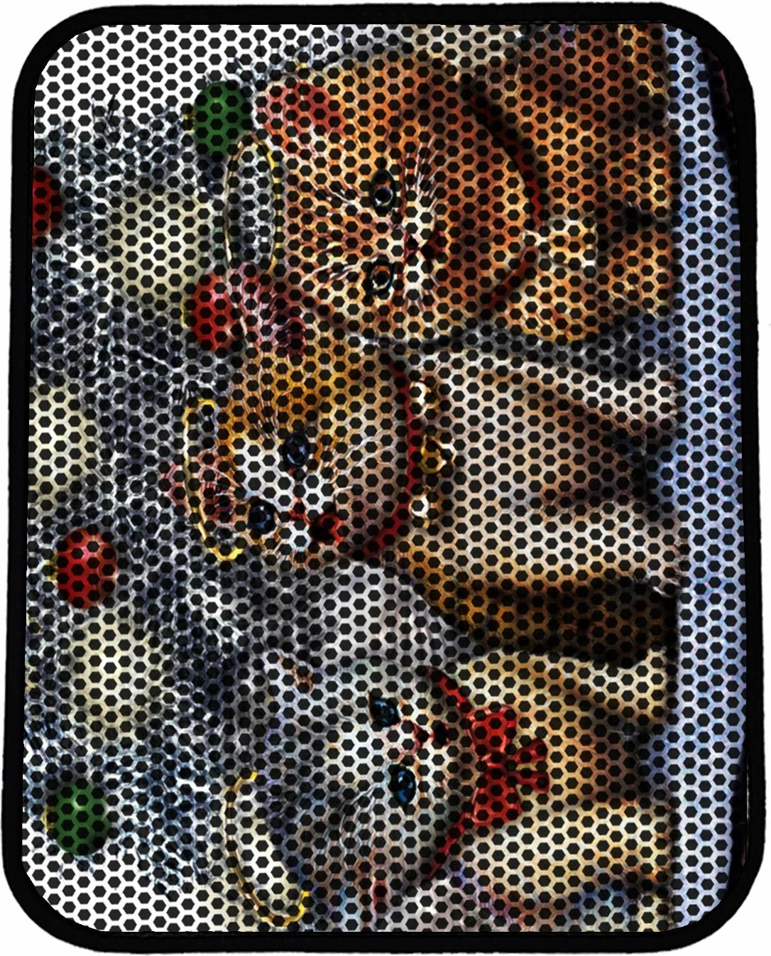 Tapet për rërë mace, shumëngjyrësh, Paws & Whiskers, Nrszn0172, 45x60cm