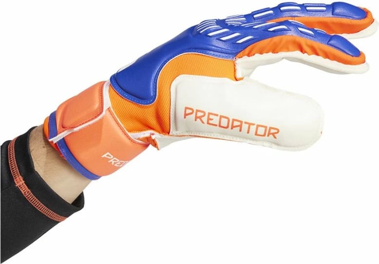 Dorëza portieri adidas, për meshkuj, të kaltra