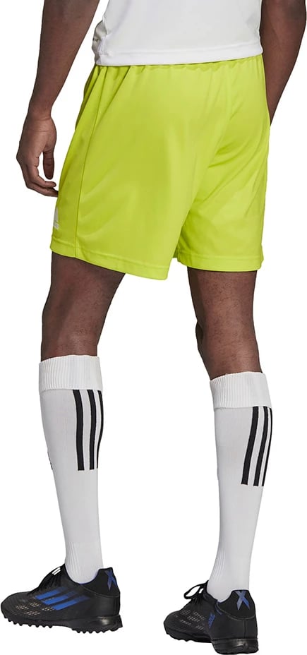 Shorce për meshkuj adidas, të gjelbra