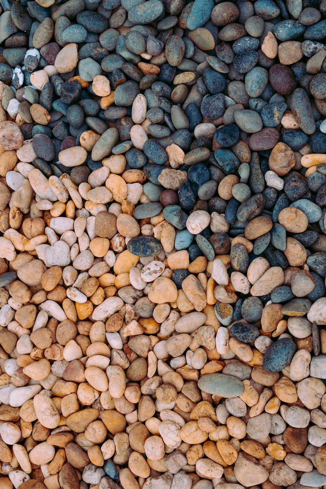 Qilim multingjyrësh, 160x230cm, Conceptum Hypnose, WOOKECE127