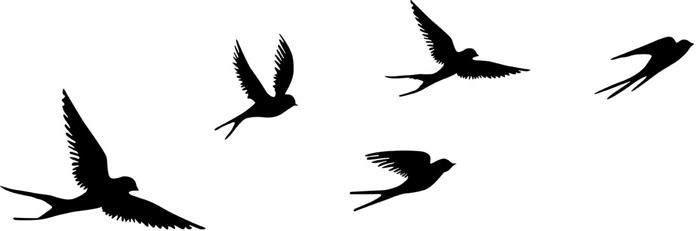 Aksesor dekorativ metalik për mur, zogj, Wallity, ngjyrë e zezë