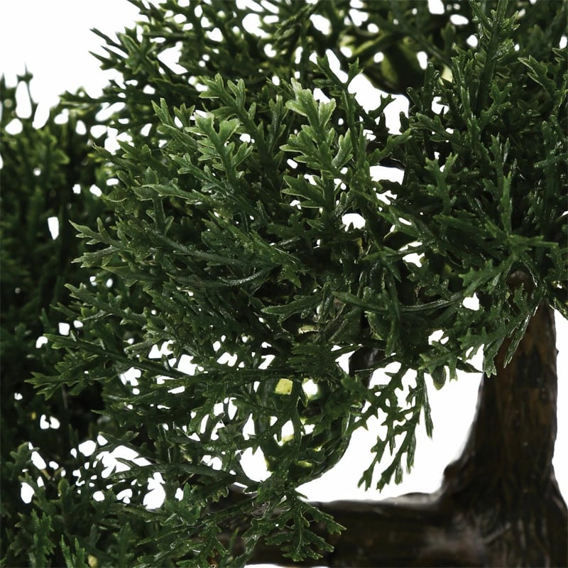 Bimë në vazo Green18 35x32x34cm