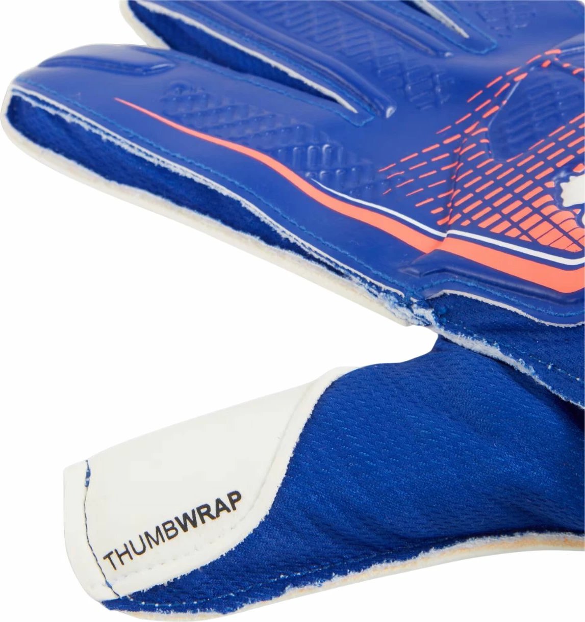 Doreza portieri Puma për meshkuj, të kaltra