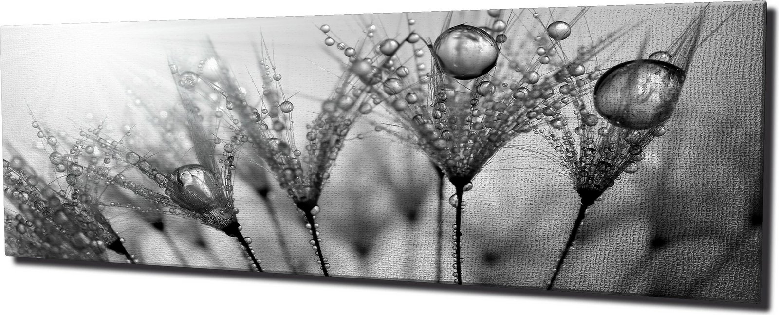 Pikturë dekorative në kanavacë, shumëngjyrëshe, PC047, 30x80cm