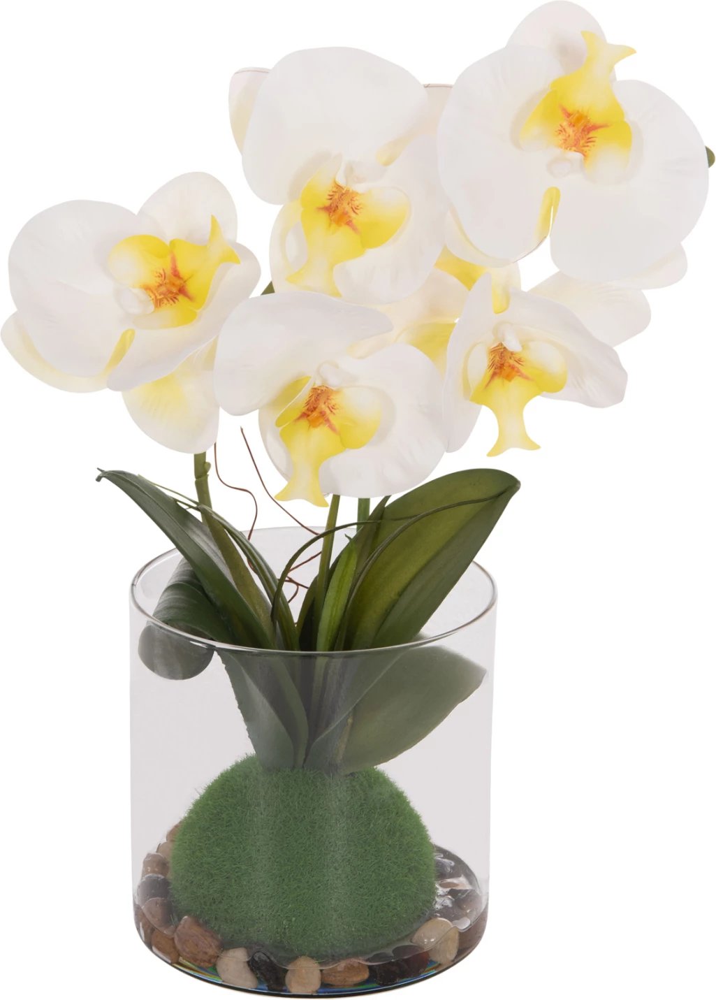 Lule dekorative sintetike Phalaenopsis në vazo qelqi, 12x24x30cm