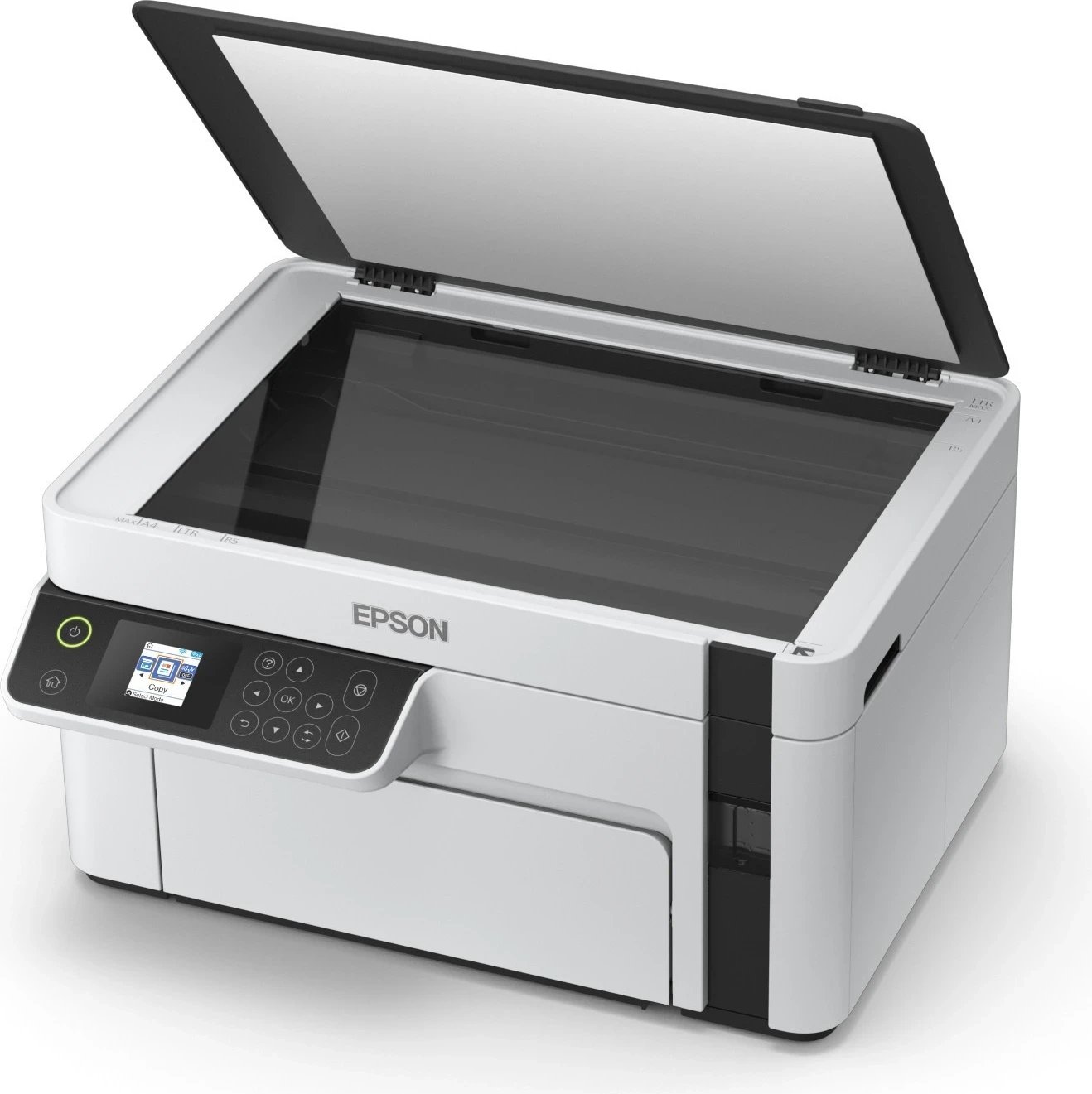 Printer Epson M2120, i bardhë Printer Epson M2120, i bardhë