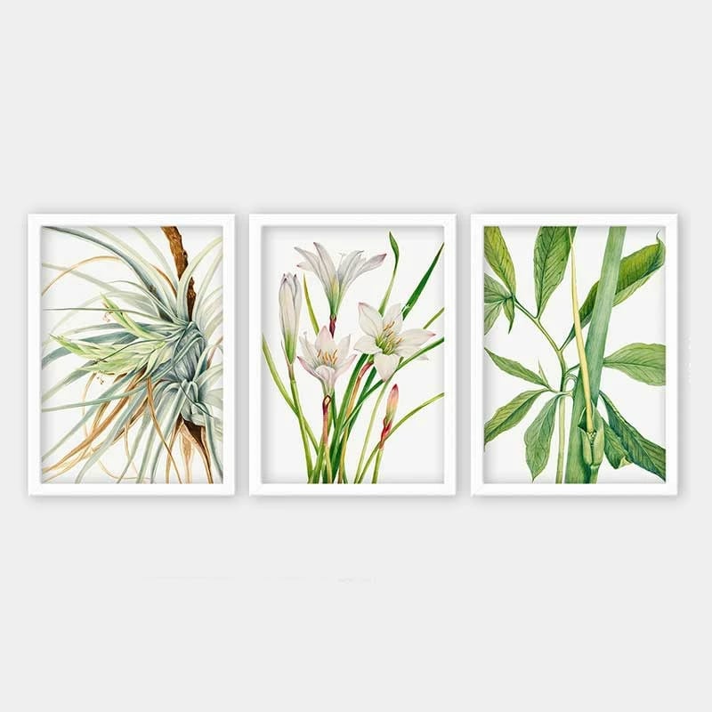 Pikturë dekorative me kornizë (3 copë), Wallity, 3BC_12621251_3545