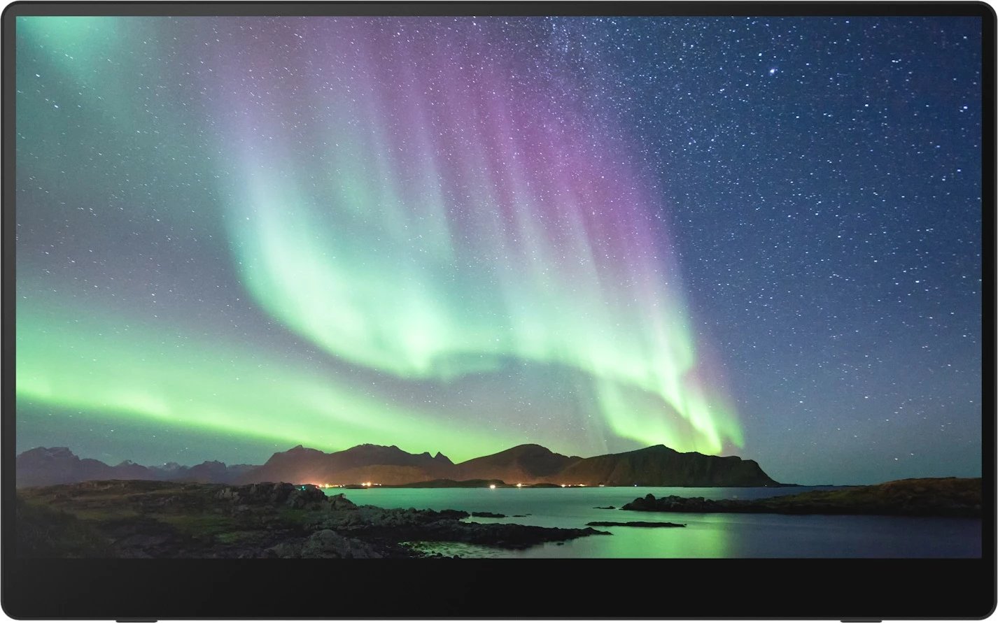 Monitor portativ Ricoh 150, OLED Touchscreen 15.6", Full HD, i zi