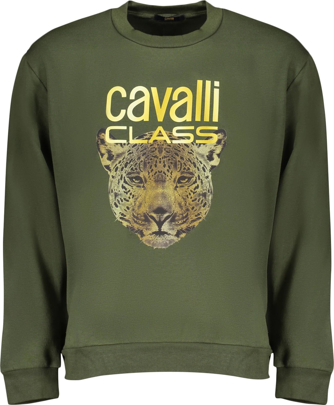 Duks për meshkuj Cavalli Class, i gjelbër