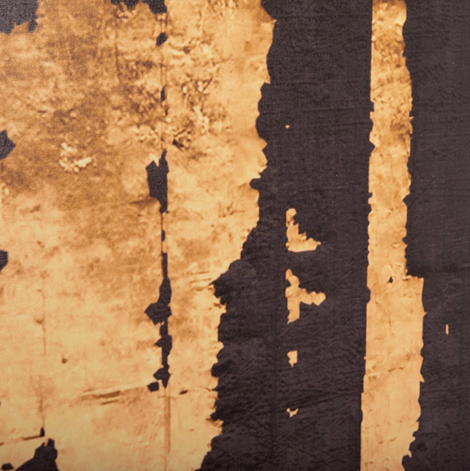 Pikturë muri GOBI, kanavacë e printuar, 98x2.5x68cm