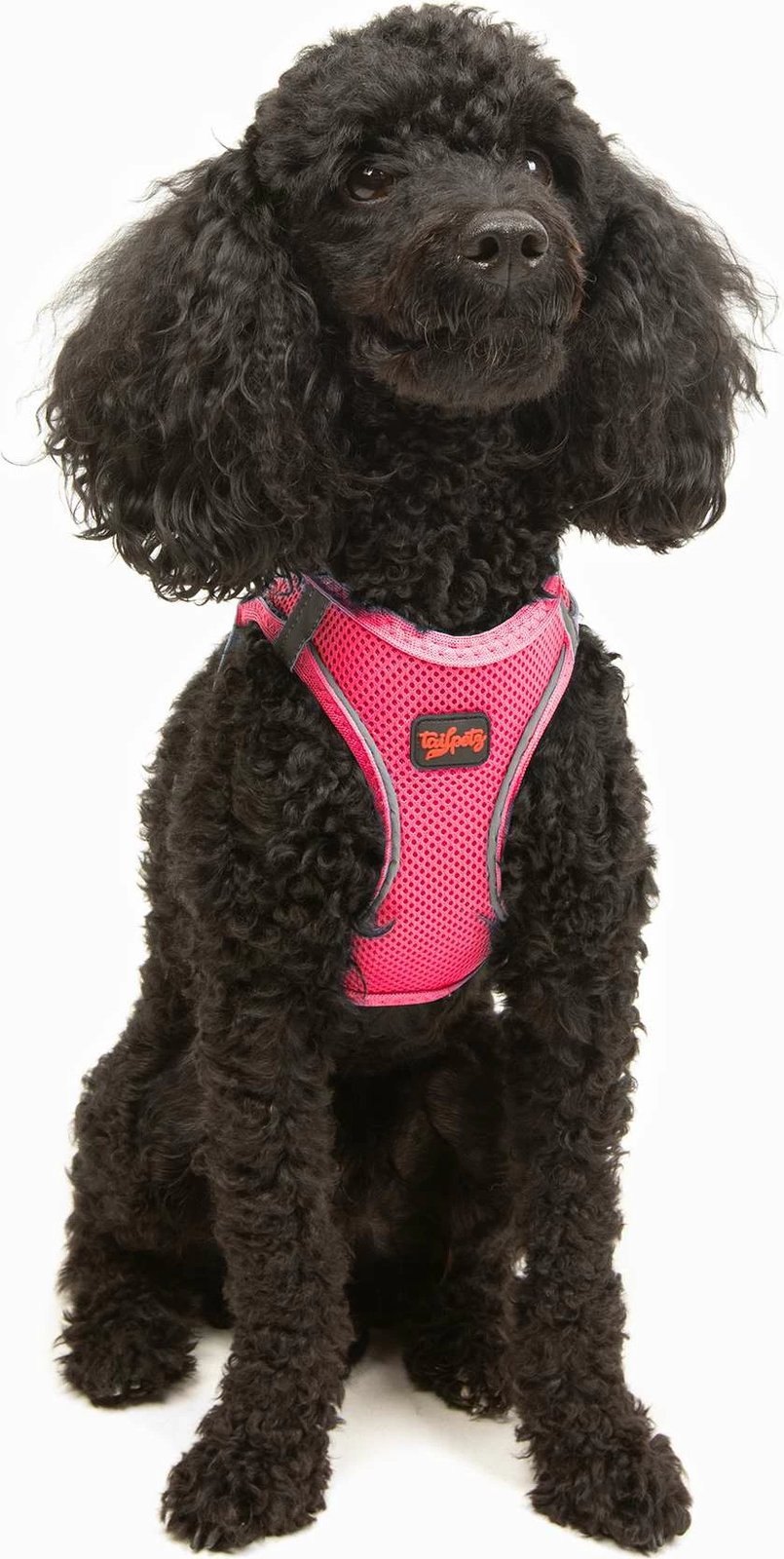 Parzmore për qen, ngjyrë rozë Neo Pink, Air-Mesh, Paws & Whiskers