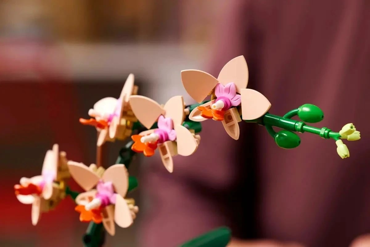 Set LEGO ICONS 10343 The Botanical Collection - Mini Orchid Set LEGO ICONS 10343 The Botanical Collection - Mini Orchid