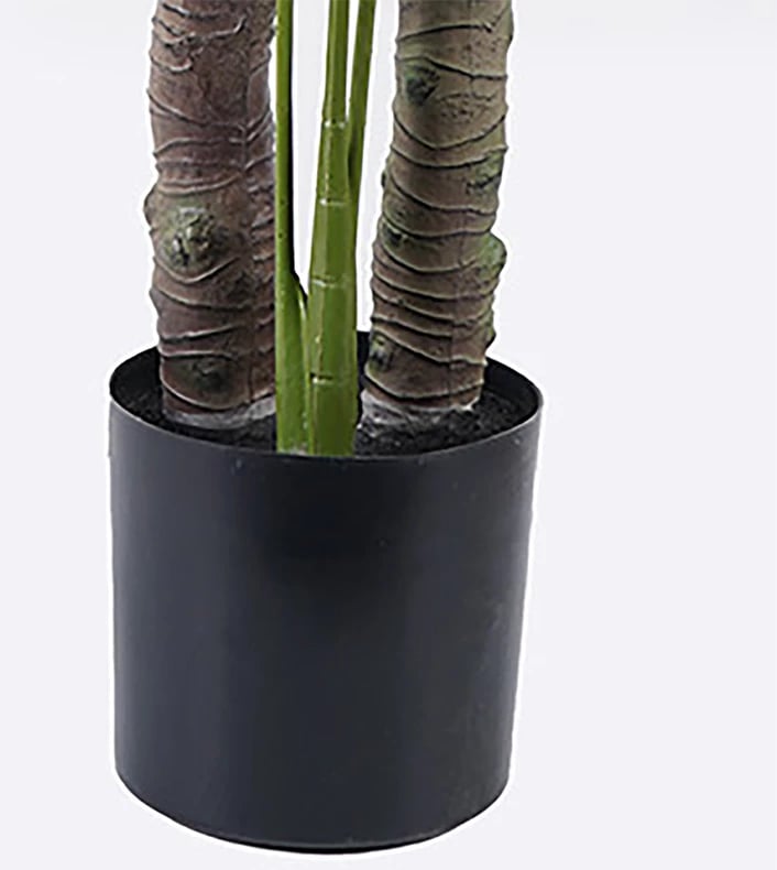 Bimë dekorative Deliciosa në vazo, e gjelbër, D90x160cm