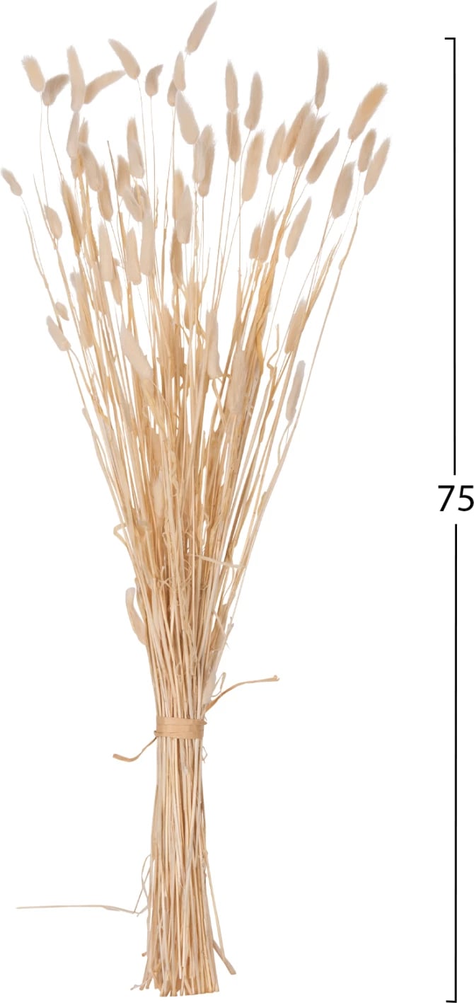 Buqetë dekorative e tharë FH7959, 76H cm, krem