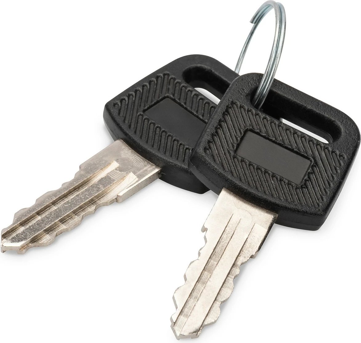 Çelësa Digitus DN-KEY-WM për kasë rrjeti, 2 copë, zi/argjendtë