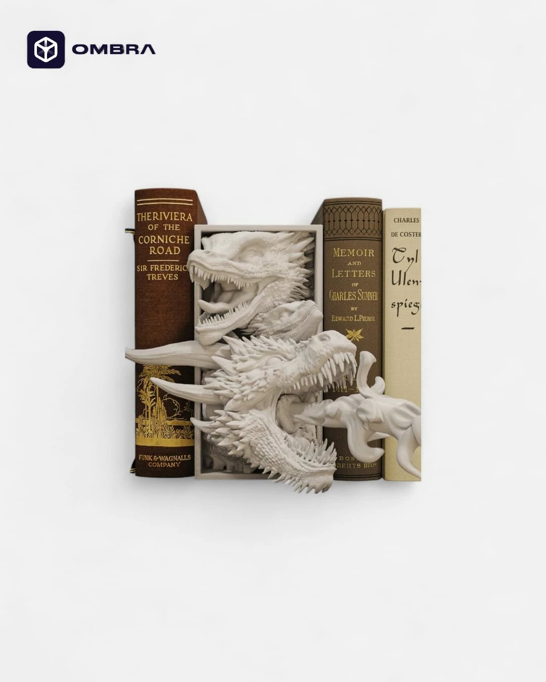 Dragon Book Nook, hiri