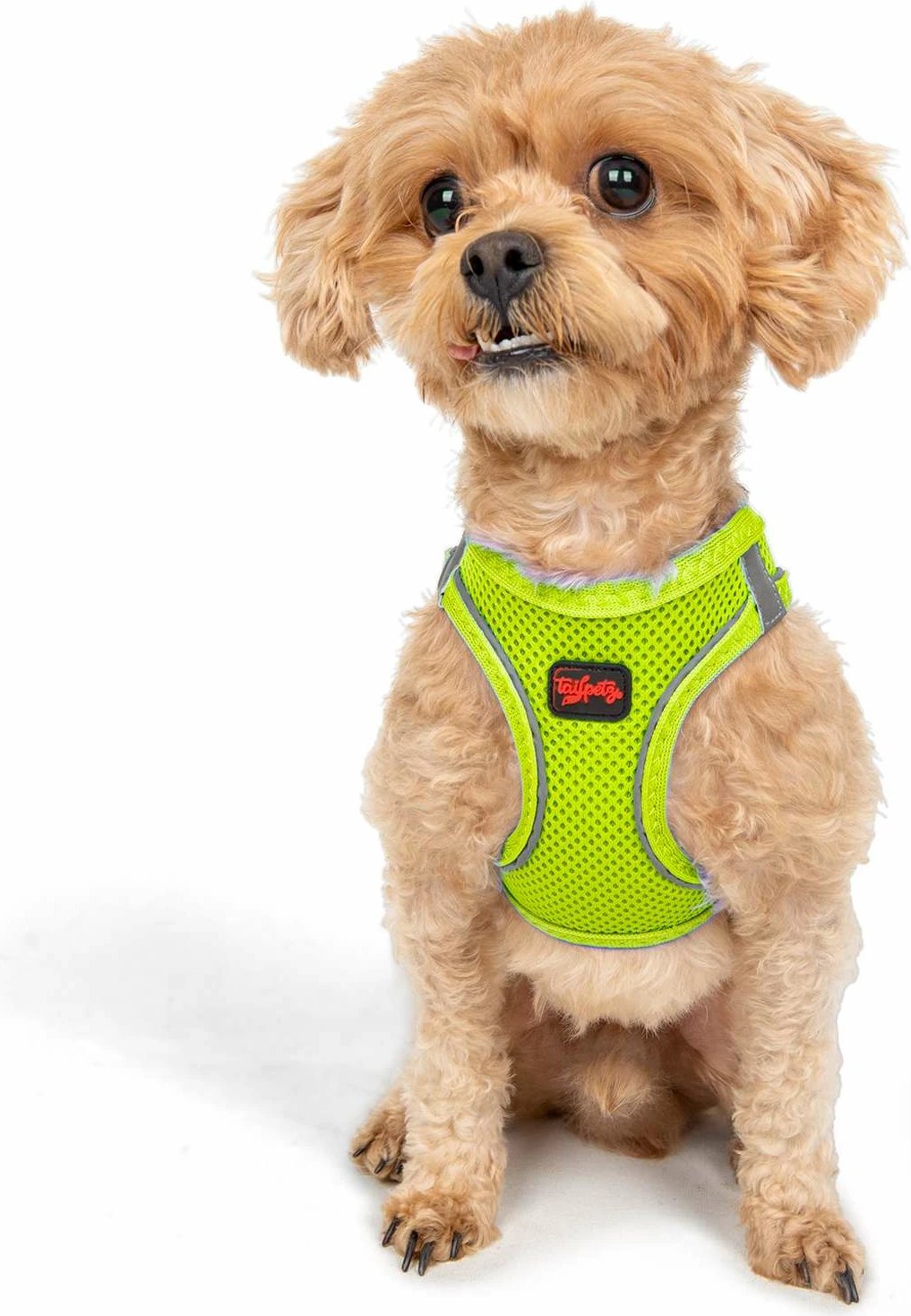 Parzmore për qen, ngjyrë Neo Lime, Air-Mesh