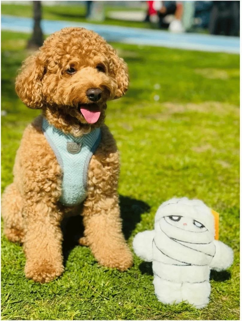 Lodër pelushi për qen, e bardhë, Paws & Whiskers, Havhav 1017, 22x20cm