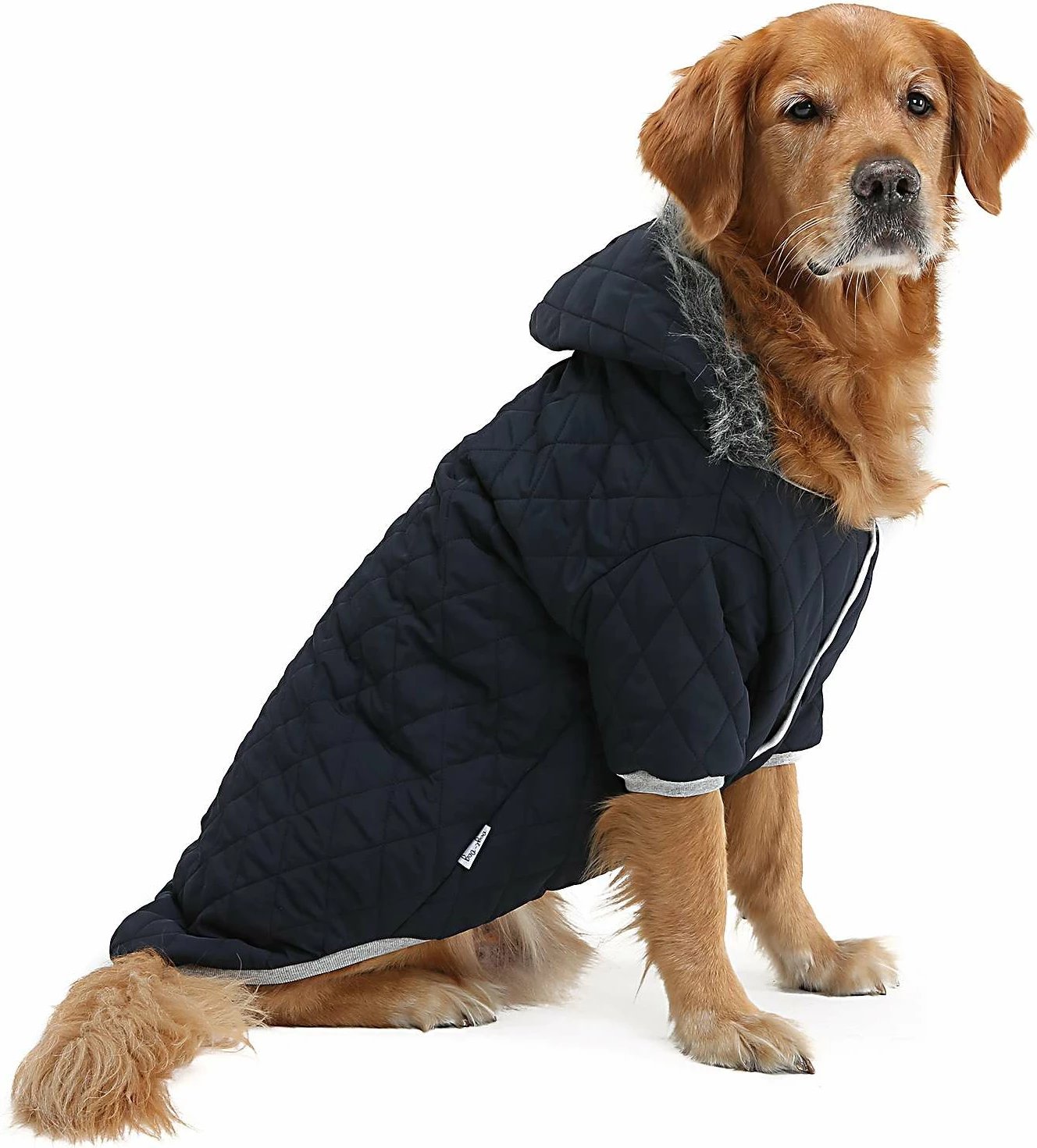 Bluze me kapuç për qen, ngjyrë e kaltër e errët, Paws & Whiskers