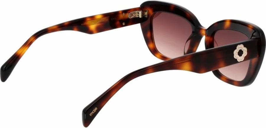 Syze dielli femra Maje, kafe