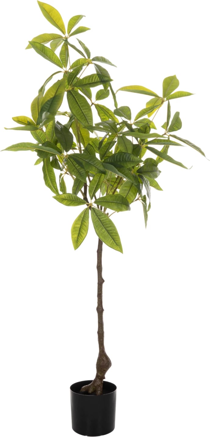 Bimë sintetike dekorative në vazo, FH4018, Pachira Macrocarpa, 125H cm
